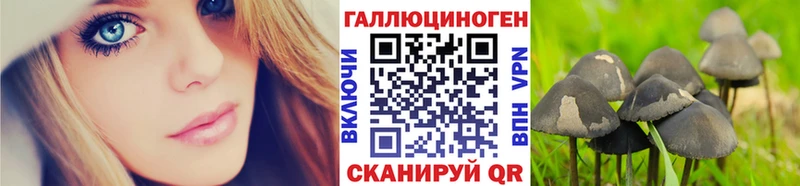 Псилоцибиновые грибы мухоморы  площадка официальный сайт  Воронеж 