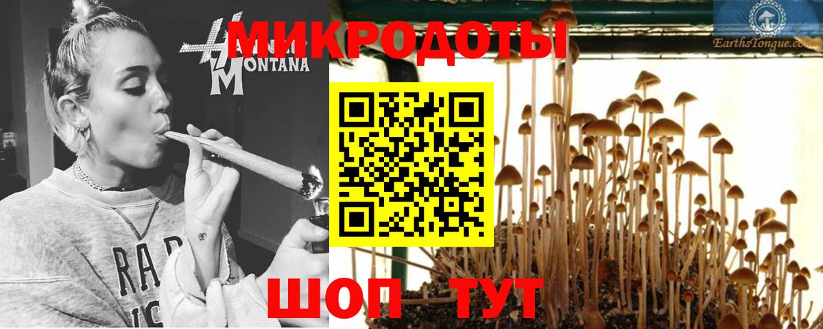 Воронеж  купить наркотики сайты  Вход с VPN  Псилоцибиновые грибы GOLDEN TEACHER 