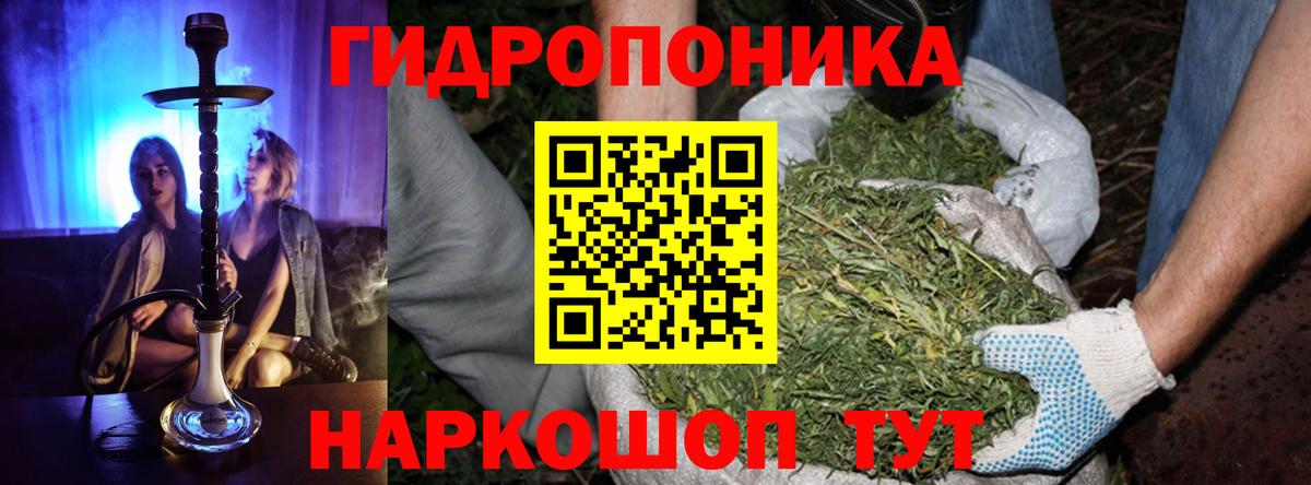 Конопля SATIVA & INDICA  Вход с VPN  Воронеж  Шишки марихуана план  Конопля LSD WEED 